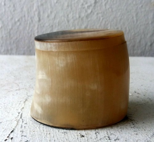 Horn kleine dose - dose, mit