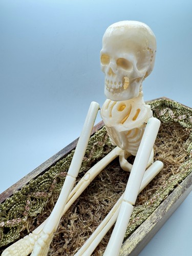 Memento mori skelett - mori,