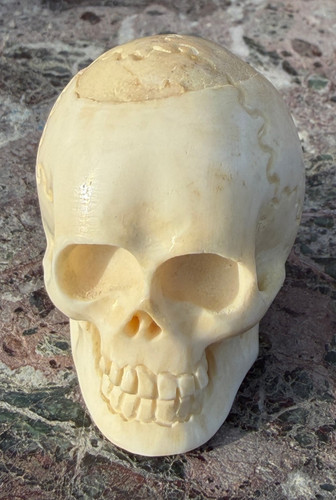 Memento mori schädel - memento,