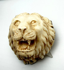 Rarität Hirschhornrose