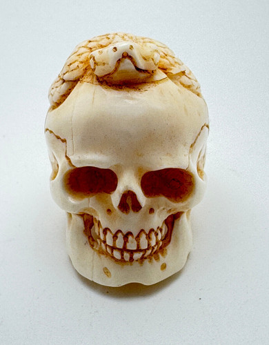Memento mori schädel - memento,