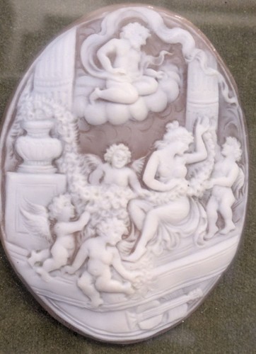 Museale geschnittene muschel - geschnittene,