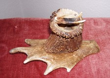 Ascher / Bleistiftständer aus