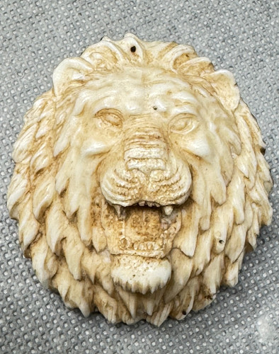 Rarität hirschhornrose - rarität,