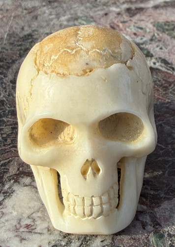 Memento mori schädel - mori,