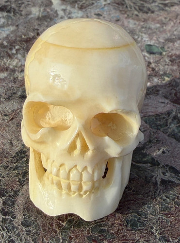 Memento mori schädel - memento,